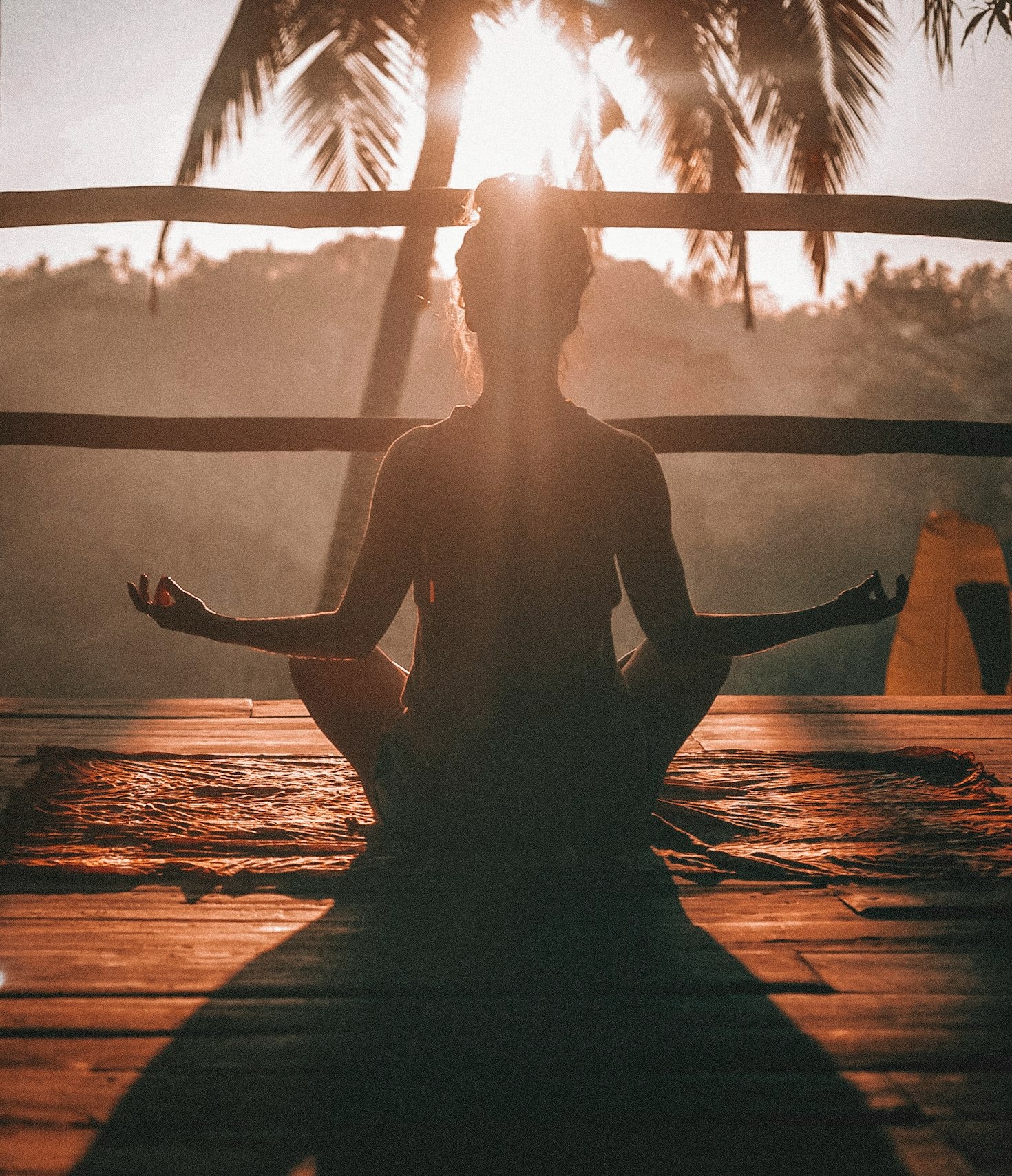 Creating a Healthier Lifestyle: Dr. Adkins’ Guide